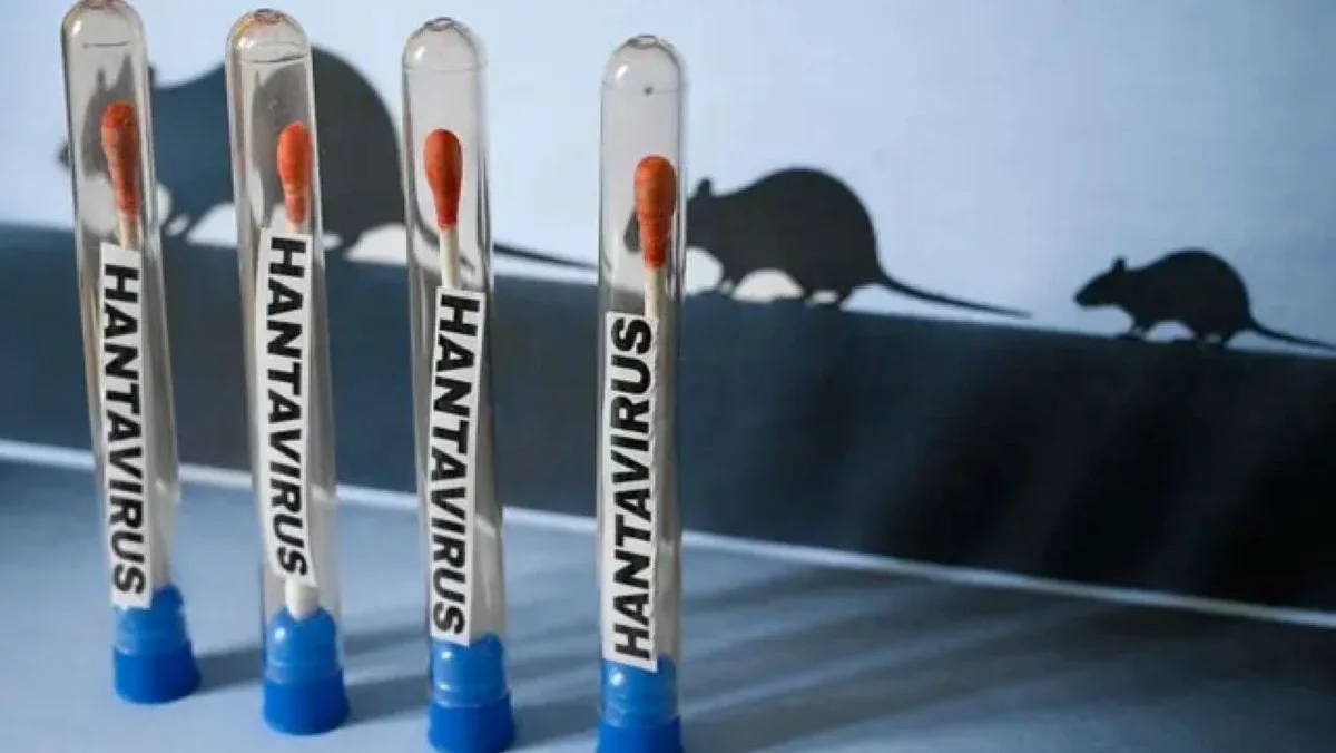 Alarma hantavirus BBC