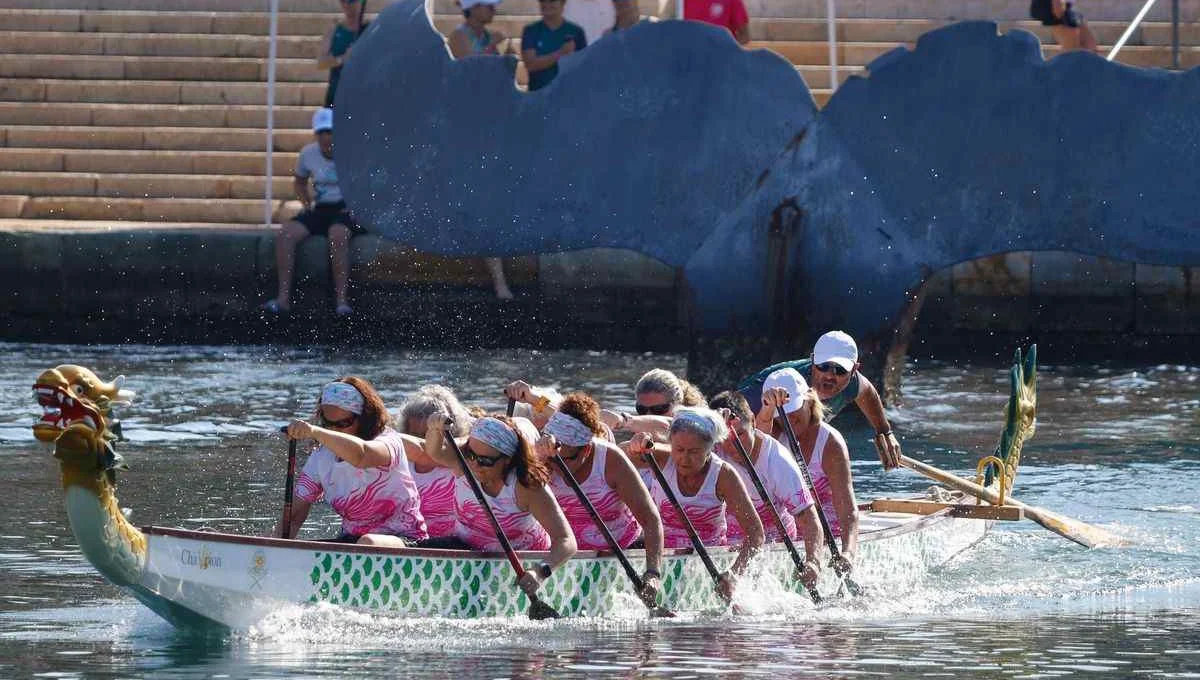 Regata Dragón CT