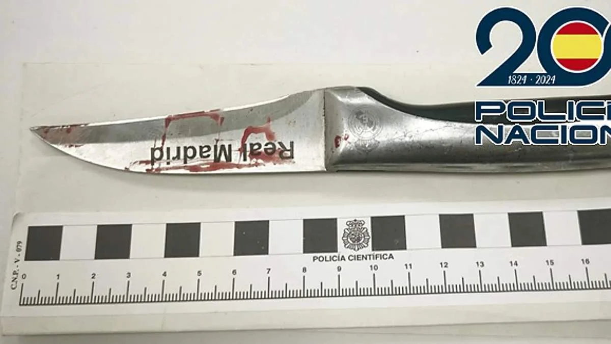 Arma blanca intervenida Diario Sur