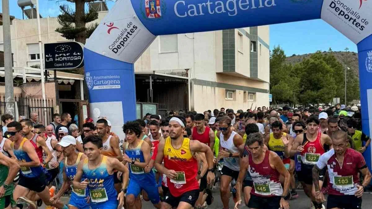 Cross Sapo CT