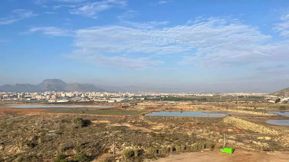 Terrenos Zinsa CT contaminados