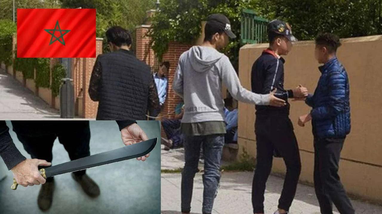 Proyecto-nuevo menas