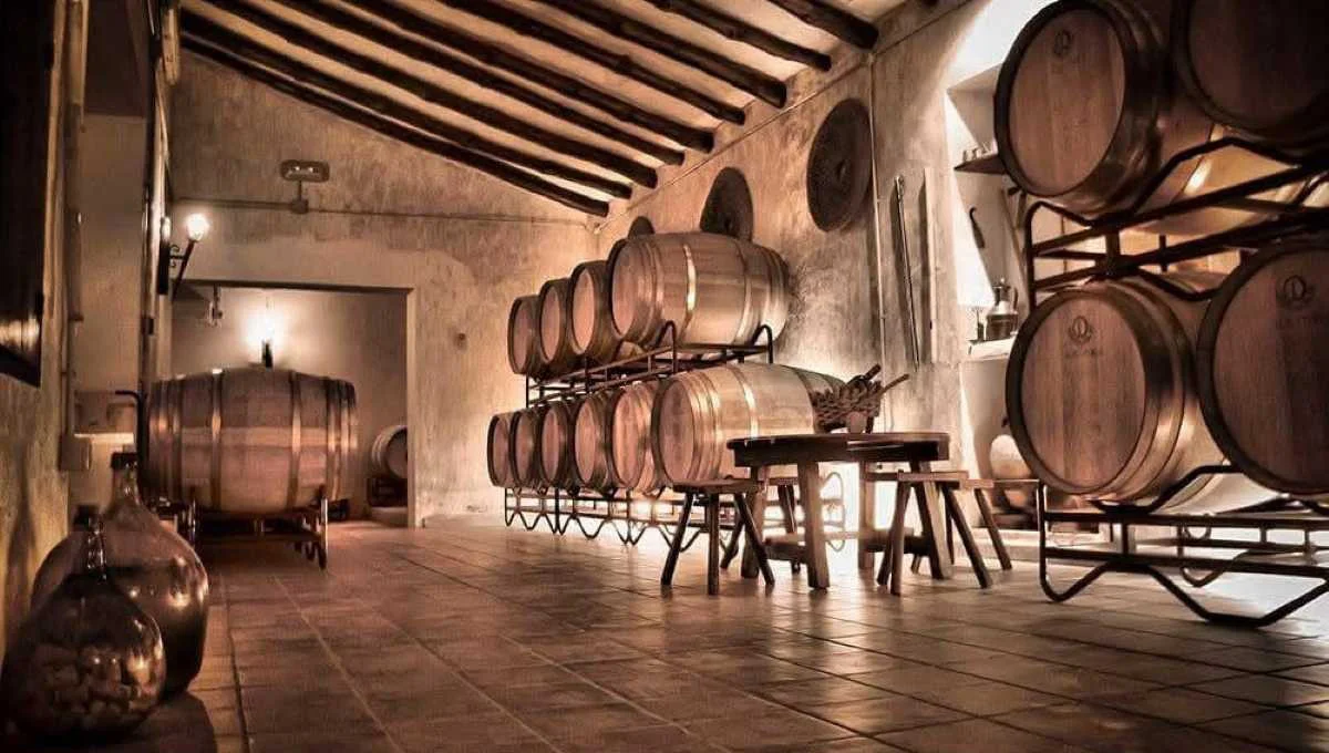 A Bodega Jumilla