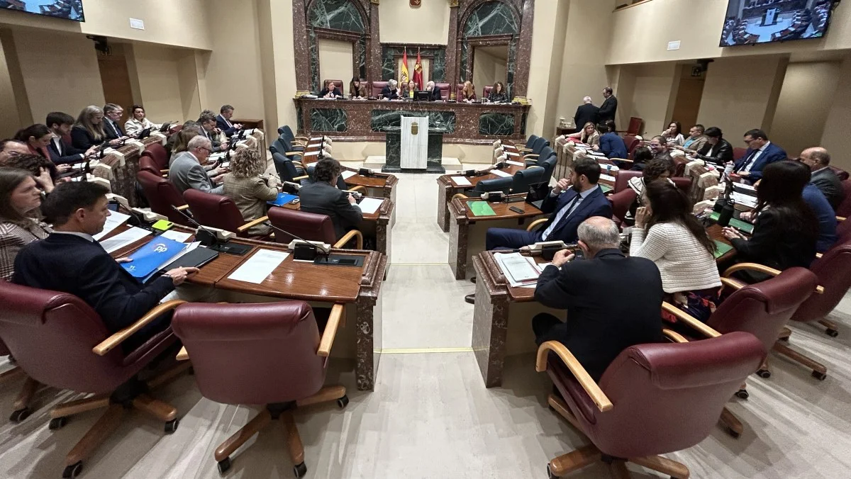 Pleno Asamblea Regional 1