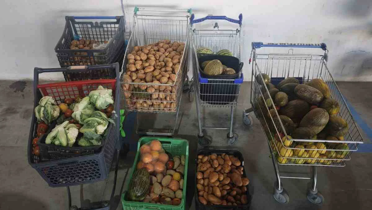 frutas decomisadas