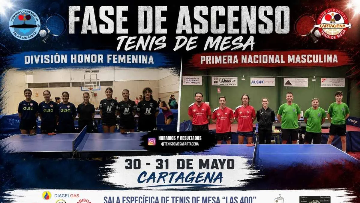 tenis mesa