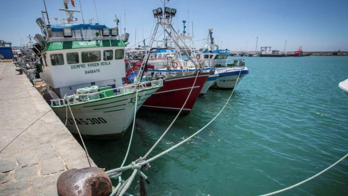 Flota Pesquera Andalucía El Mundo
