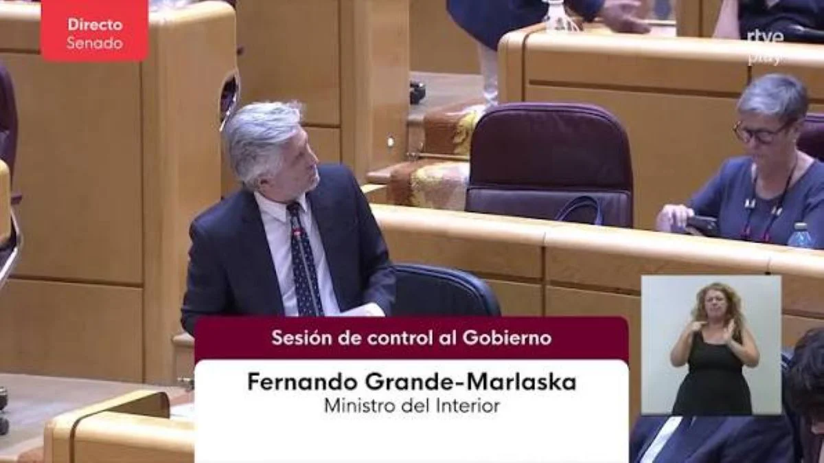 Marlaska Senado