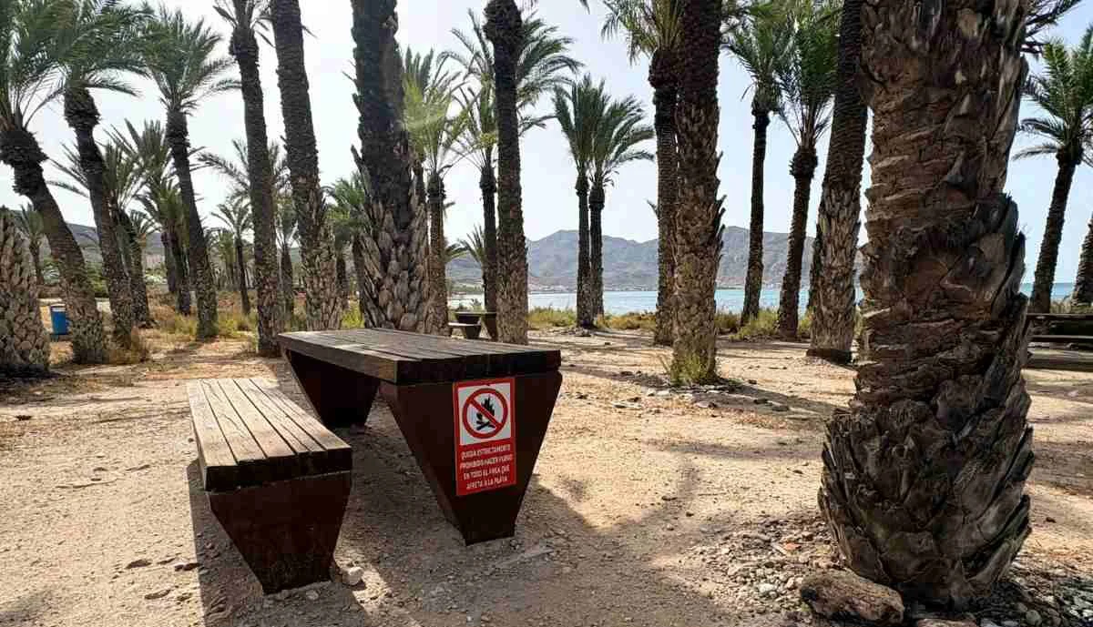Palmeral San Ginés Azohía