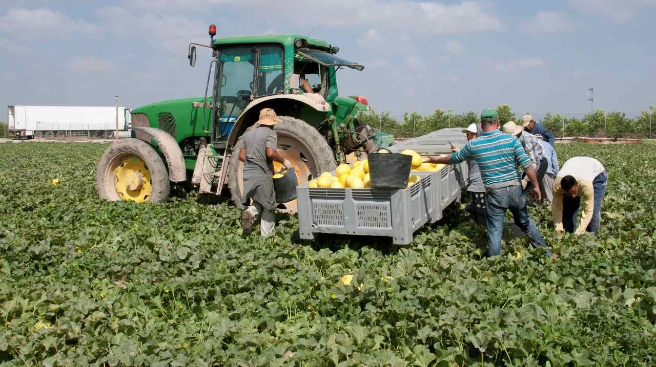 campo agricultores El Mundo