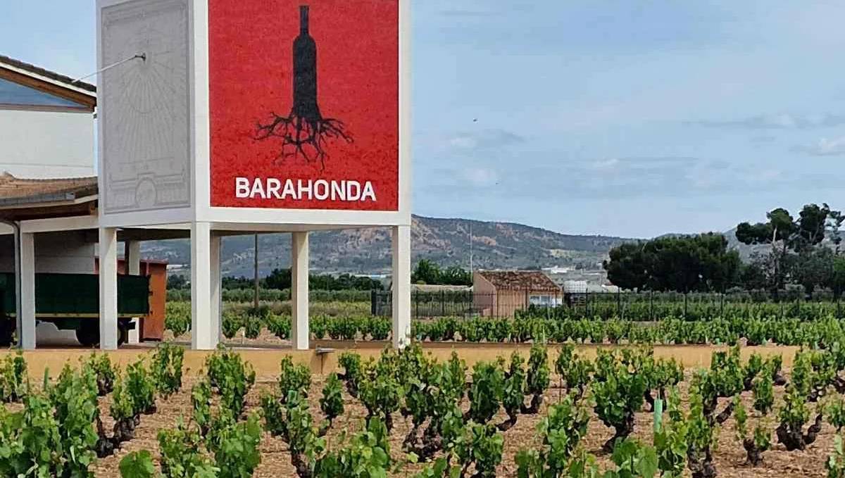 Barahonda 1
