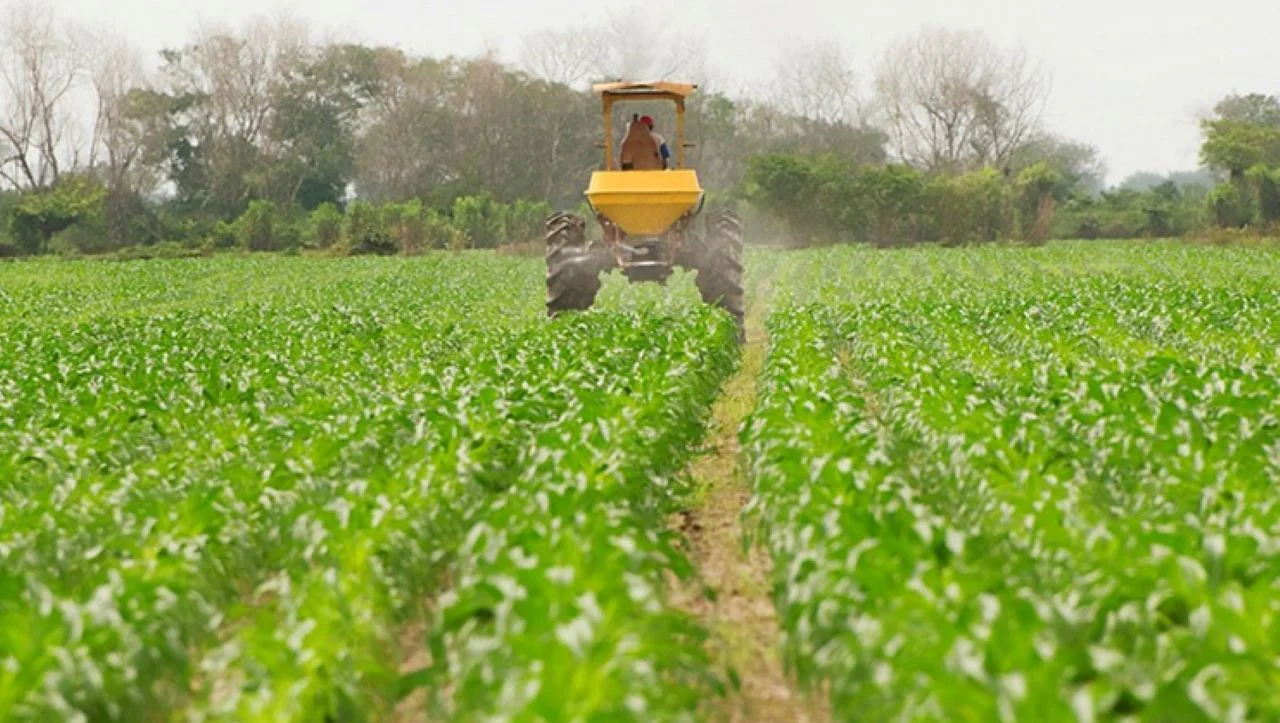 fertilizantes-agricultura-pacto-verde-AgroCLM