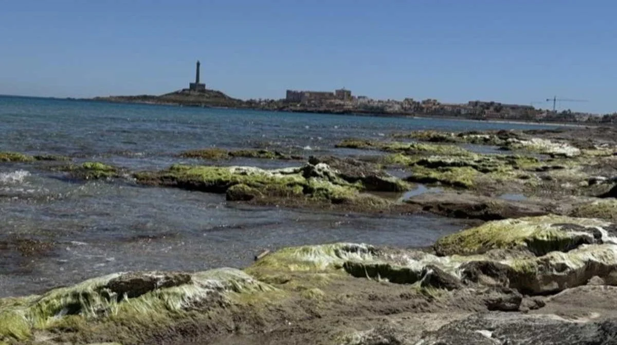 Cabo de Palos CT