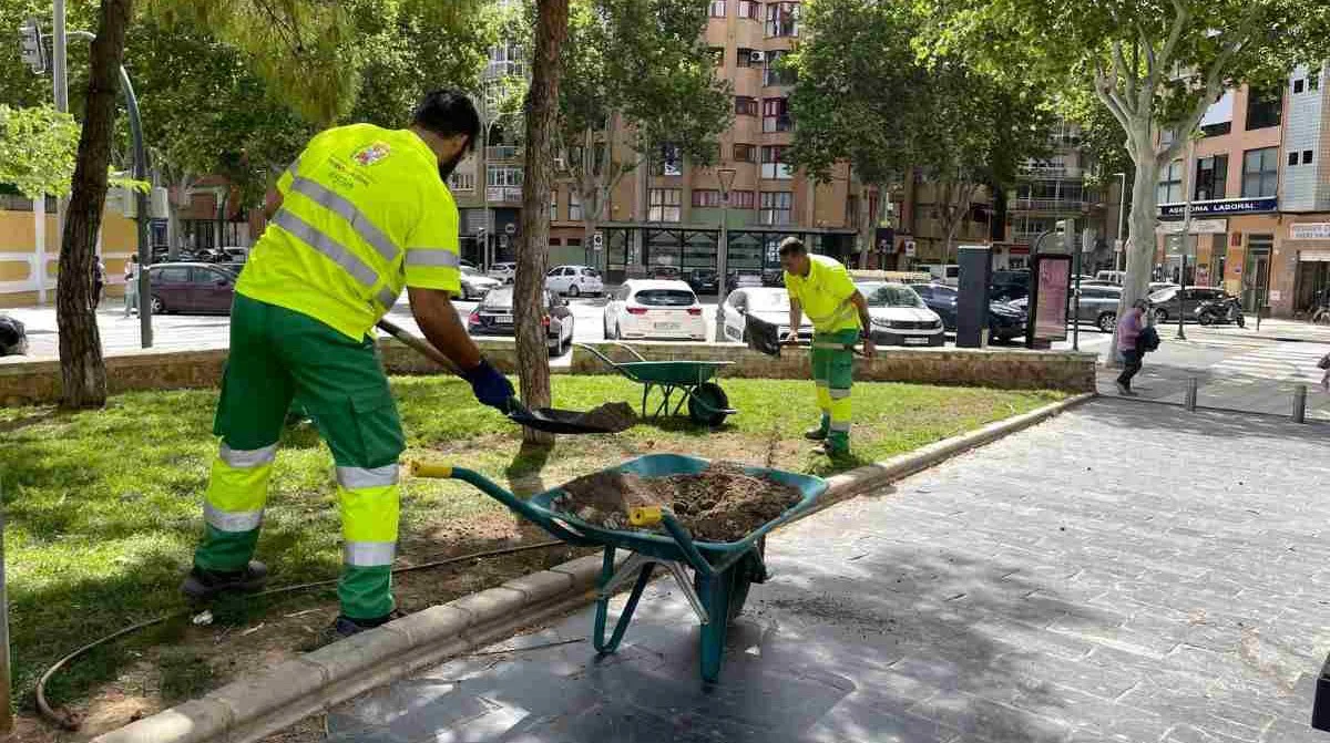 Reposición césped CT